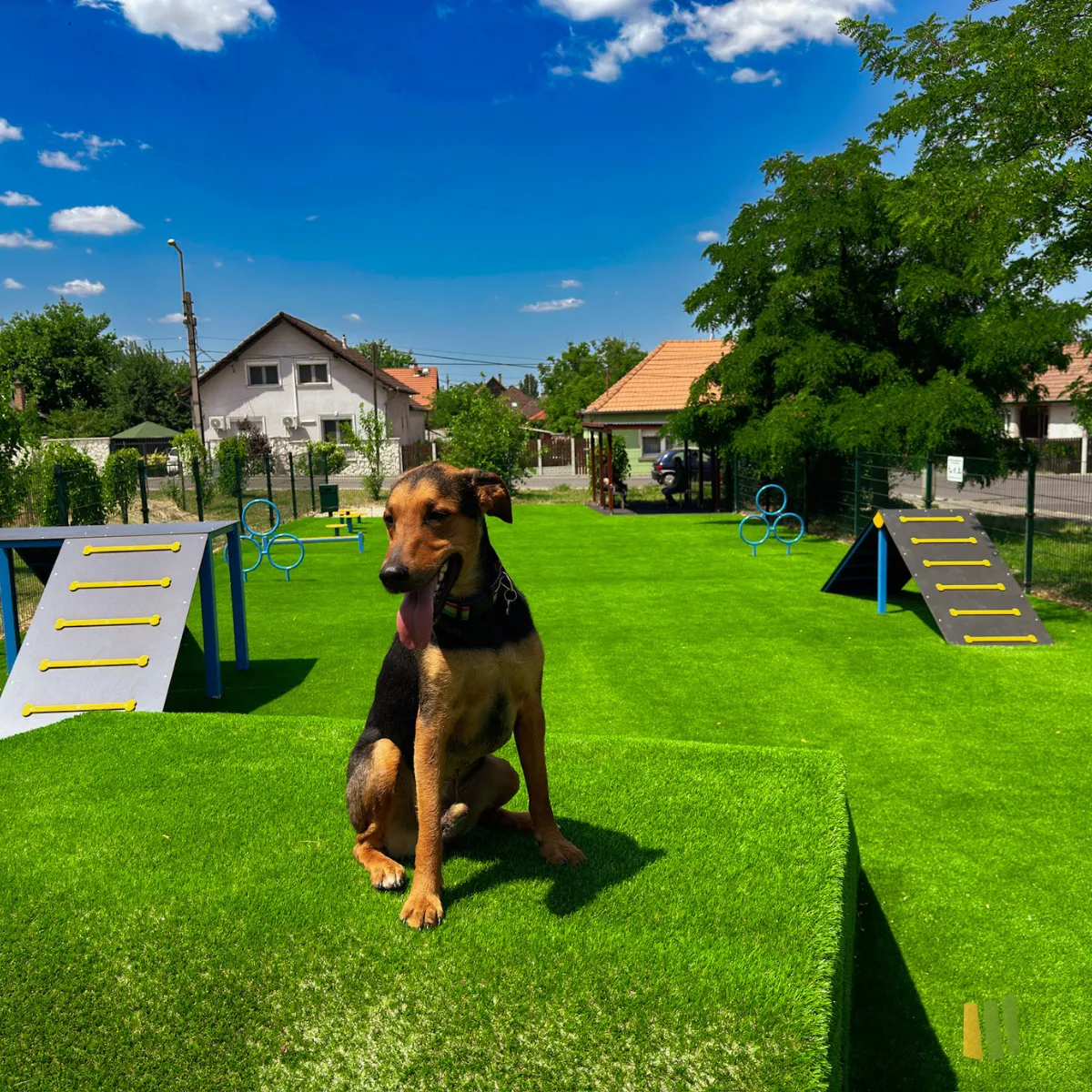 Kutyafuttató, agility pályája 