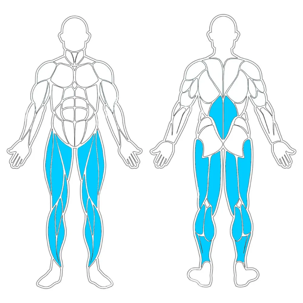 SZ-11 Hátizom erősítő - Fitnesz gép